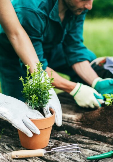 happy-young-farmers-working-with-aromatic-plants-a-2026-03-26-03-59-03-utc